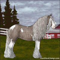 Horse Color:Silver Blue Roan Splash Tobiano  and Silver Blue Roan Splash Tobiano 