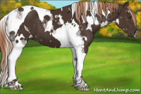 Horse Color:White Spotted Liver Chestnut Tobiano 