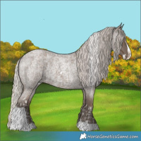 Horse Color:Silver Blue Roan Splash Tobiano  and Silver Blue Roan Splash Tobiano 