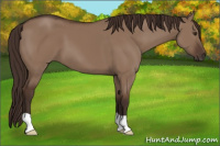 Horse Color:Liver Red Dun 