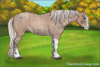 Horse Color:Silver Blue Roan Splash Tobiano  and Silver Classic Champagne Roan Splash Tobiano 