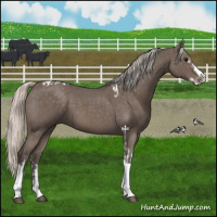 Horse Color:Silver Blue Roan Splash Tobiano  and Silver Blue Roan Splash Tobiano 