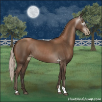 Horse Color:Gray Silver Black Pearl Tobiano 
