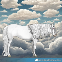 Horse Color:White Spotted Buckskin Chinchilla Appaloosa 