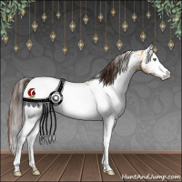 Horse Color:White Spotted Sable Cream Champagne 