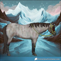 Horse Color:Midnight Bay Roan Onyx Rabicano 