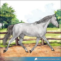 Horse Color:White Spotted Grullo Varnish 