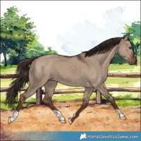 Horse Color:Liver Red Dun