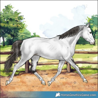 Horse Color:Smoky Black Tobiano Near Fewspot 