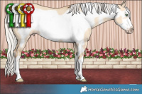 Horse Color:White Spotted Silver Amber Champagne Dun Frame 