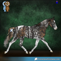 Horse Color:Chestnut Splash Tobiano Rabicano  and Liver Chestnut Splash Tobiano Rabicano 