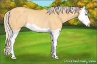 Horse Color:Silver Sable Cream Champagne Dun Splash Rabicano