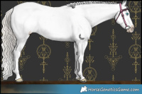 Horse Color:Chocolate Palomino Pearl Tobiano Frame Blanket  and Chocolate Palomino Pearl Tobiano Frame Blanket 