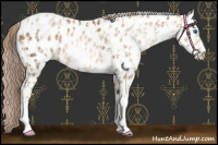 Horse Color:Chocolate Palomino Pearl Tobiano Frame Appaloosa  and Gray Chocolate Palomino Pearl Tobiano Frame Appaloosa 