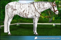 Horse Color:Silver Blue Roan Splash Tobiano Varnish  and Silver Blue Roan Splash Tobiano Varnish 