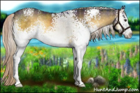 Horse Color:Plaid  White Spotted Chocolate Palomino Onyx Rabicano 