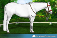 Horse Color:Gray Silver Black Pearl Tobiano Appaloosa
