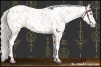 Horse Color:Silver Sable Cream Champagne Pearl Leopard 