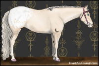 Horse Color:Gold Cream Champagne Pearl Appaloosa 