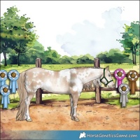 Horse Color:Plaid  White Spotted Liver Red Dun Pearl Rabicano 