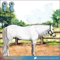 Horse Color:White Spotted Liver Red Dun Roan 