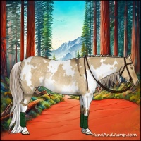 Horse Color:White Spotted Chocolate Palomino Dun Rabicano 