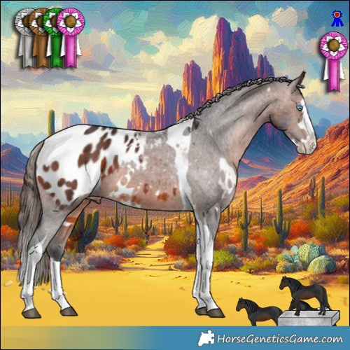 Horse Color:White Spotted Brown Splash Tobiano Appaloosa 