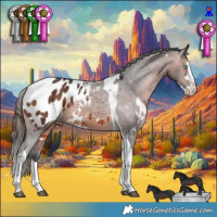 Horse Color:White Spotted Brown Splash Tobiano Appaloosa 
