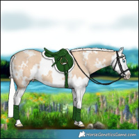 Horse Color:White Spotted Silver Classic Champagne Dun Splash 