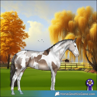 Horse Color:White Spotted Liver Red Dun Tobiano Rabicano  and White Spotted Liver Red Dun Rabicano 