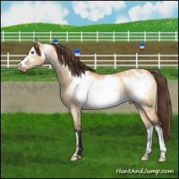 Horse Color:Bay Roan Dun Frame Varnish Rabicano 