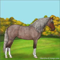 Horse Color:Silver Brown Roan 