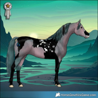 Horse Color:Watercolor Bay Tobiano 