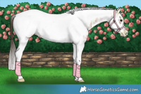 Horse Color:Bay Ice Sabino Tobiano Frame Varnish 