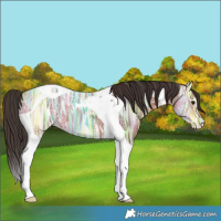 Horse Color:Bay Ice Tobiano