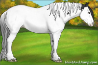 Horse Color:Black Splash Tobiano Snowcap 