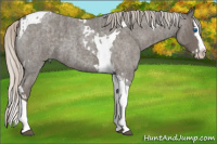 Horse Color:Silver Blue Roan Splash Tobiano  and Silver Blue Roan Splash Tobiano 