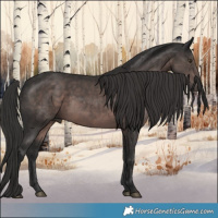 Horse Color:Platinum Liver Chestnut 