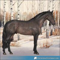 Horse Color:Platinum Liver Chestnut
