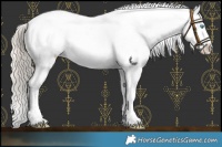 Horse Color:Chocolate Palomino Pearl Near Leopard 