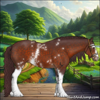 Horse Color:White Spotted Chocolate Brown
