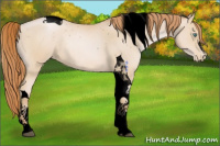 Horse Color:Void Smoky Black Pearl Sabino Tobiano Varnish 