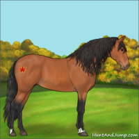 Horse Color:Unknown 