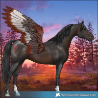 Horse Color:Brown 