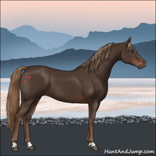 Horse Color:Liver Chestnut 