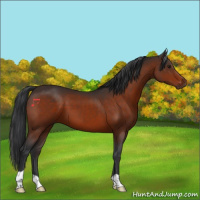 Horse Color:Brown 