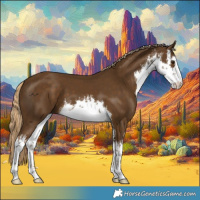 Horse Color:White Spotted Chocolate Palomino 