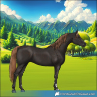 Horse Color:Liver Chestnut 