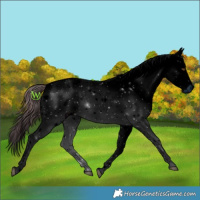 Horse Color:ERROR: UNKNOWN ANOMALY