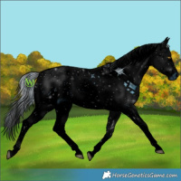 Horse Color:ERROR: UNKNOWN ANOMALY